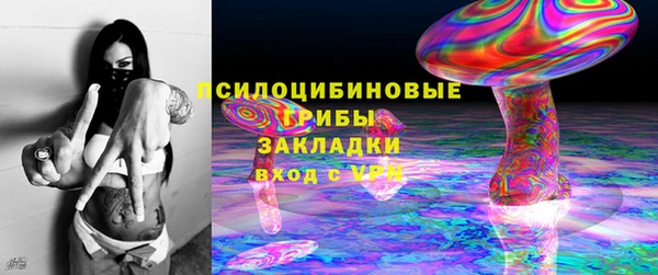 эйфоретик Алексин
