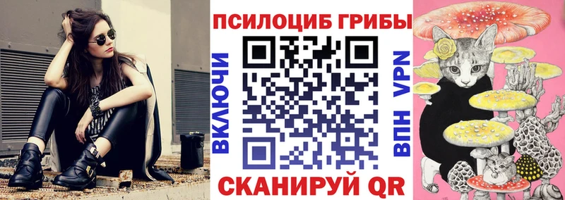 где можно купить   Югорск  Галлюциногенные грибы прущие грибы 