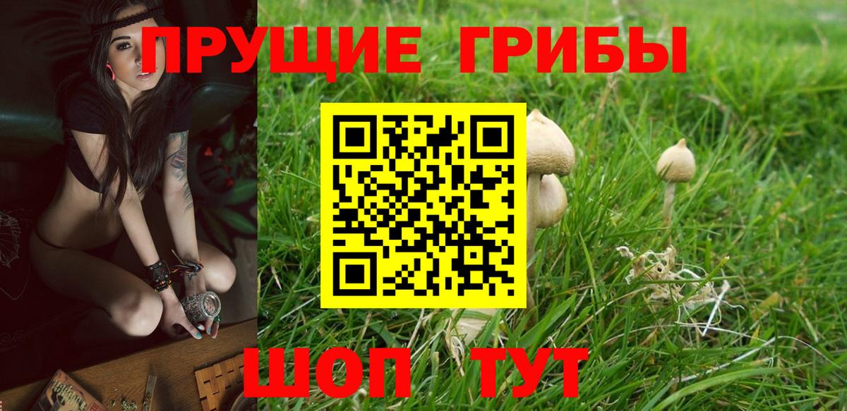 Галлюциногенные грибы прущие грибы  Галлюциногенные грибы Psilocybe  Югорск  Вход с VPN 