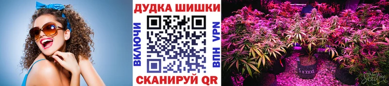 мега ТОР Югорск Бошки марихуана Bruce Banner